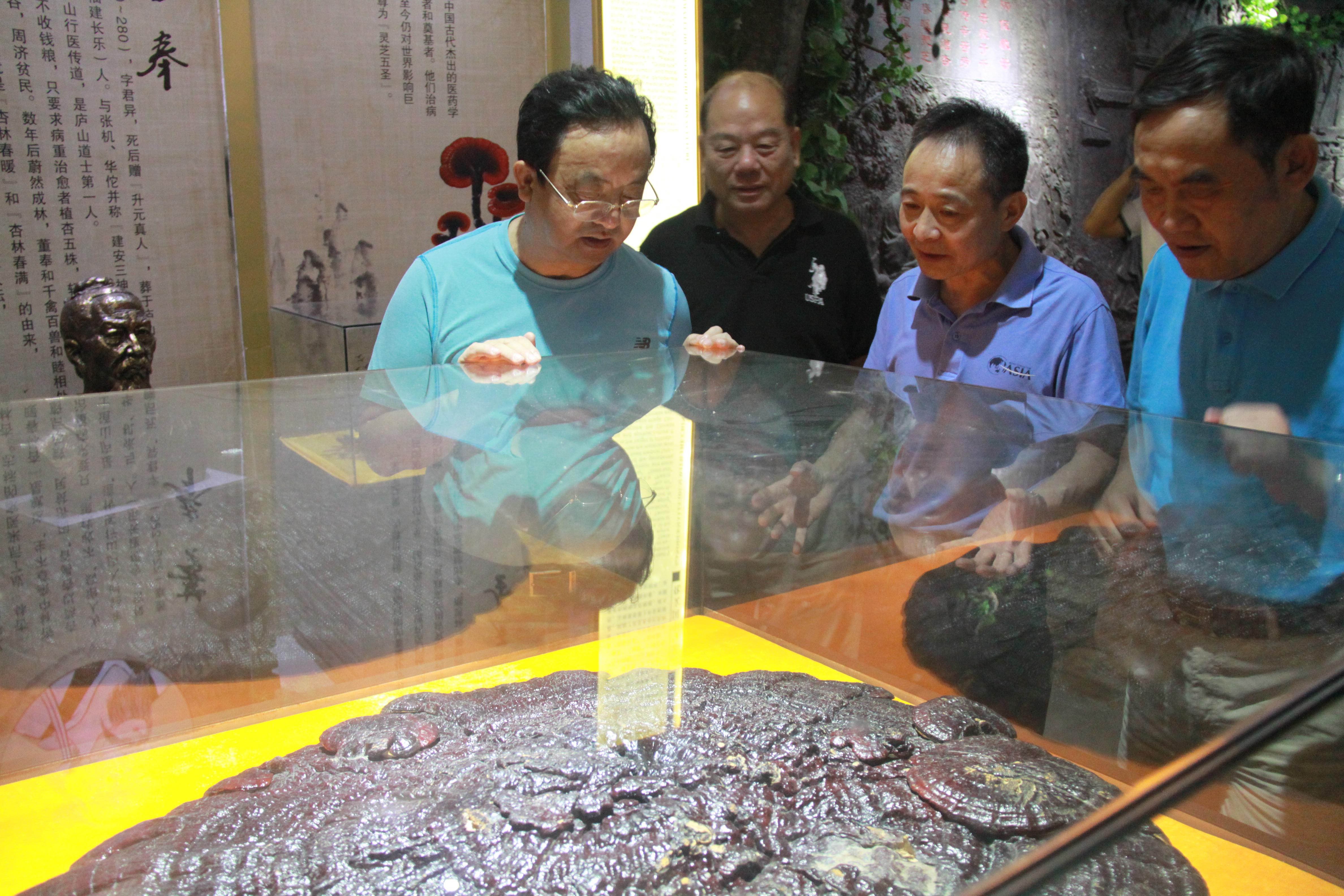 仙客來孢子粉|仙客來孢子油|仙客來靈芝|仙客來破壁孢子粉|江西老字號(hào)