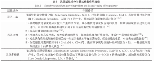 杭州亞運(yùn)會官方靈芝產(chǎn)品供應(yīng)商|杭州亞運(yùn)會官方供應(yīng)商|中國靈芝十大品牌|仙客來靈芝|仙客來靈芝破壁孢子粉|仙客來孢子油|仙客來靈芝飲片|仙客來破壁孢子粉|靈芝孢子油|孢子粉|靈芝破壁孢子粉|靈芝|中華老字號