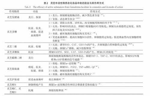 杭州亞運(yùn)會官方靈芝產(chǎn)品供應(yīng)商|杭州亞運(yùn)會官方供應(yīng)商|中國靈芝十大品牌|仙客來靈芝|仙客來靈芝破壁孢子粉|仙客來孢子油|仙客來靈芝飲片|仙客來破壁孢子粉|靈芝孢子油|孢子粉|靈芝破壁孢子粉|靈芝|中華老字號