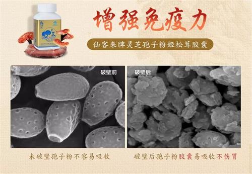 杭州亞運會官方靈芝產(chǎn)品供應(yīng)商|杭州亞運會官方供應(yīng)商|中國靈芝十大品牌|仙客來靈芝|仙客來靈芝破壁孢子粉|仙客來孢子油|仙客來靈芝飲片|仙客來破壁孢子粉|靈芝孢子油|孢子粉|靈芝破壁孢子粉|靈芝|中華老字號