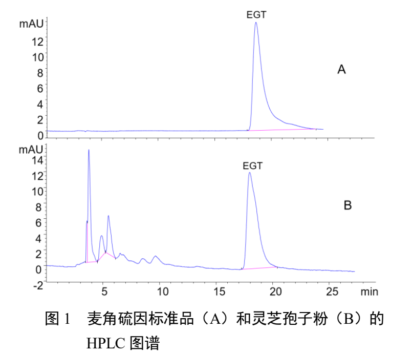 杭州亞運會官方靈芝產(chǎn)品供應商|杭州亞運會官方供應商|中國靈芝十大品牌|仙客來靈芝|仙客來靈芝破壁孢子粉|仙客來孢子油|仙客來靈芝飲片|仙客來破壁孢子粉|靈芝孢子油|孢子粉|靈芝破壁孢子粉|靈芝|中華老字號